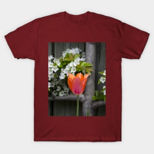 Tulips and pear blossoms in spring T-Shirt